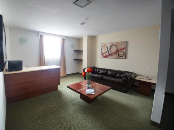 Hotel Ankara "Las Lomas" Сан-Луис-Потоси Экстерьер фото